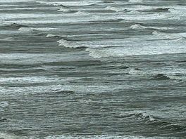 Wave