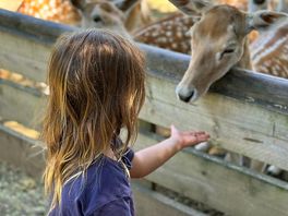 Mogo zoo is a short ride away and is a great place for kids.