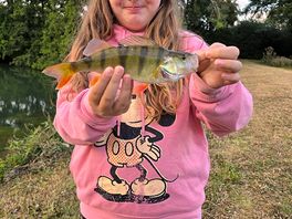 Great fight with this cracking little perch