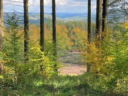 Mooie wandelingen