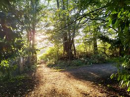 Footpath from campsite