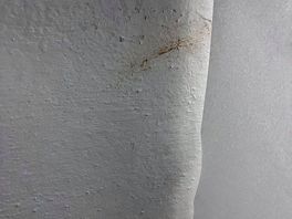 Poo on walls