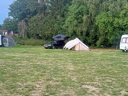 Excellent size pitch