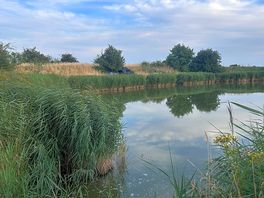 Lake view