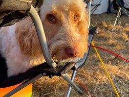 Bruce had his own chair.