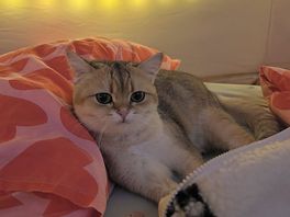 Ready for bed!