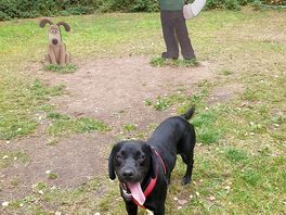 The wallace and gromit walkies trail.