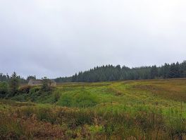 Stonehaugh forest walk