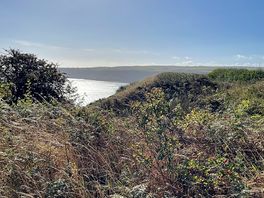 View from the cleveland way.