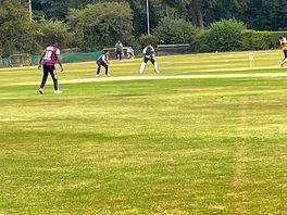 Watched some cricket