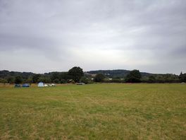 The field