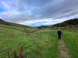 Stunning walks