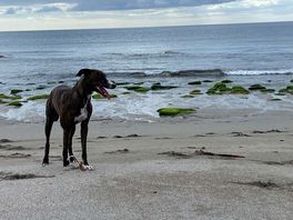 This soft sandy beach was only a five minute drive away from the campsite!😍