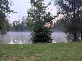 Vismeer