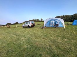 Our pitch