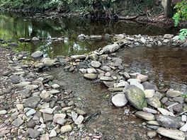 The river