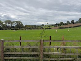 View from pod