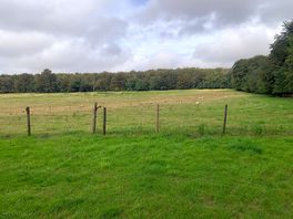 Field next to the site