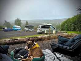 Waiting for the mist to clear