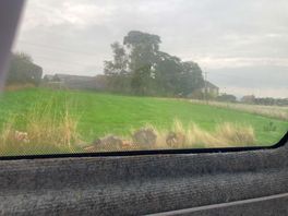 View from camper window on waking up.