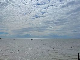Cloudy skies over the estuary but didn’t ruin the holiday.