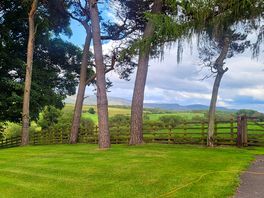 View from our van