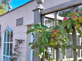 Fruit growing