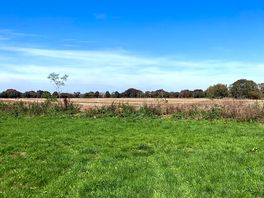 Nice green pitch area