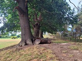 Along offa's dyke