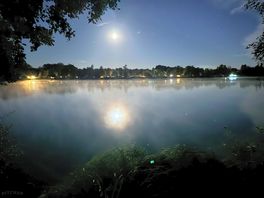 Lake view