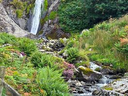 Aber falls