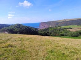 Walk down to crackington haven