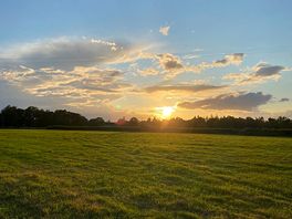 Sunset field