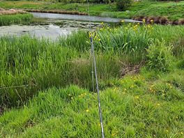 Fishing