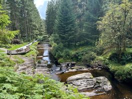 River severn walk hafren forest