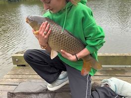 14pound