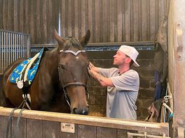 Inside the stables