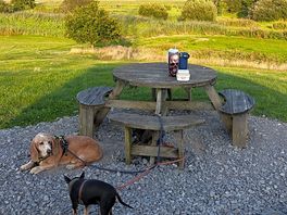 Our own picnic table on each pitch