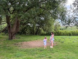 The site has swings all along the site