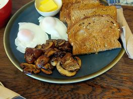 Breakfast at high peak bookstore and café; highly recommend the bagels, poached eggs and mushrooms
