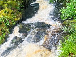 Waterfall behind the site