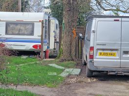 The neighbours