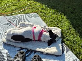 My girls relaxing