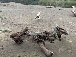 Big beach