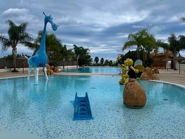 Family pool!