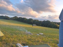 Views of sky and grass with a cow in the distance