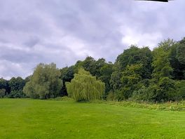 Palace and surrounding greenery