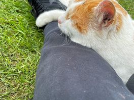 My new best friend.
