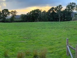 Can’t beat this view
