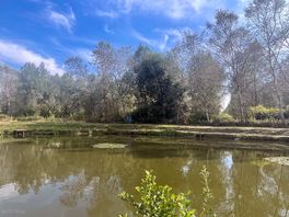 Peaceful